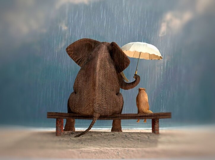 Շտապիր դեպի բարին seo.alt.cover